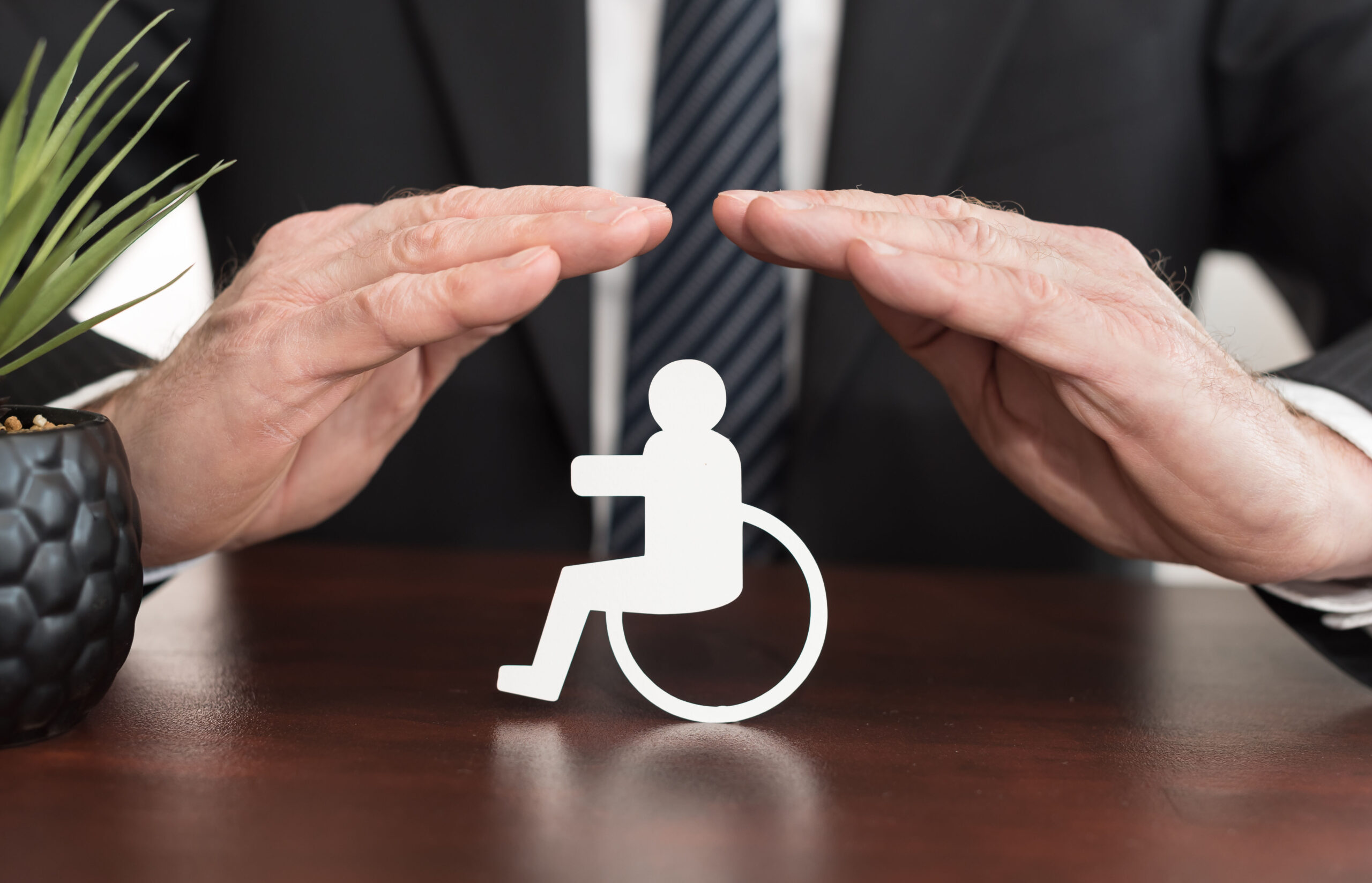 Why We Focus on Disability Law